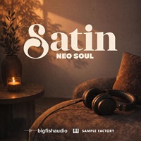 Satin - Neo Soul (ネオソウル)(コンストラクションキット)(ビッグフィッシュオーディオ)(オンライン納品)(2時間以内に納品)