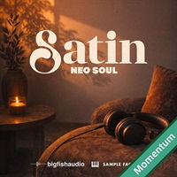 Satin - Neo Soul MMT (ネオソウル)(コンストラクションキット)(ビッグフィッシュオーディオ)(Momentum)(オンライン納品)(2時間以内に納品)