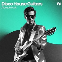Disco House Guitars (ディスコハウス)(ニューディスコ)(ファンクギター)(サンプルパック)(オンライン納品)(2時間以内に納品)