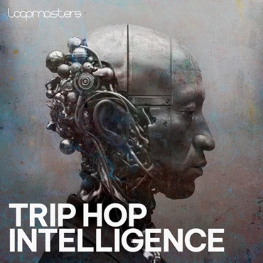 LOOPMASTERS Trip Hop Intelligence (トリップホップ)(ダウンテンポサウンド)(サンプルパック)(オンライン納品)(2時間以内に納品)