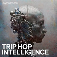 Trip Hop Intelligence (トリップホップ)(ダウンテンポサウンド)(サンプルパック)(オンライン納品)(2時間以内に納品)