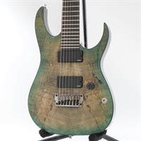 USED 中古 Iron Label RGIX27FESM (Foggy Stained Black) [SN. 150914203]