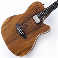 A6 Ultra Extream KOA HG 展示特価！
