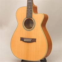 Master Built TE Personal Cutaway メイトン