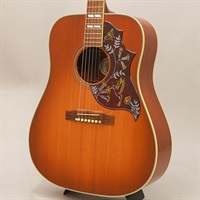 USED 中古 Hummingbird ’14 ギブソン