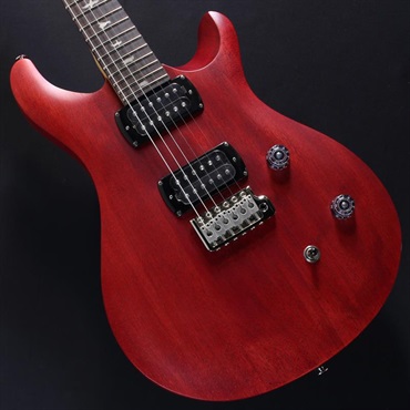 SE CE 24 Standard Satin (Vintage Cherry) #CTI H046910【2025年生産品】