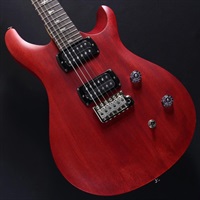 SE CE 24 Standard Satin (Vintage Cherry) #CTI H046910【2025年生産品】