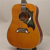 【特価】 Inspired by Gibson Custom 1963 Dove Reissue 【2nd Outlet品】 エピフォン
