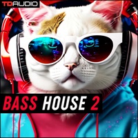 TD Audio - Bass House 2 (ベースハウス)(サンプルパック)(スピードガラージ)(ハードダンス)(オンライン納品)(2時間以内に納品)