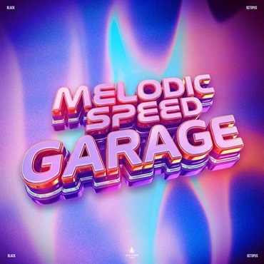 Melodic Speed Garage (スピードガラージ)(ディープハウス)(Serum 2プリセット)(オンライン納品)(2時間以内に納品)
