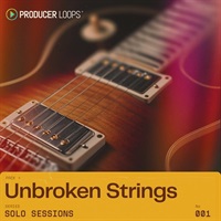 Solo Sessions - Unbroken Strings (ギターサウンド)(ロック)(ポップ)(リードギター)(オンライン納品)(2時間以内に納品)
