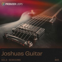 Solo Sessions - Joshuas Guitar (R&B)(ヒップホップ)(ギターフレーズ)(オンライン納品)(2時間以内に納品)