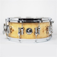 USED 中古 AS-1406CM [Artist Series Snare Drum / Cotton Wood Maple 14×6]【ケース付属】