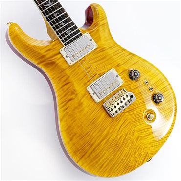 P.R.S. Wood Library McCarty Trem 10Top Japan Exclusive (Vintage