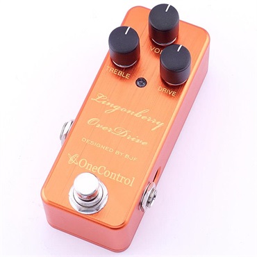 One Control USED 中古 Iguana Tail Loop 2 ｜イケベ楽器店オンライン
