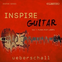Inspire Guitar (ポップス)(ファンク)(ギター・フレーズ)(Elastik3)(オンライン納品)(2時間以内に納品)