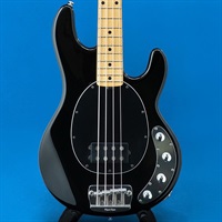 USED 中古 StingRay (Black/Maple)