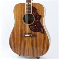 Hummingbird Koa Special エピフォン