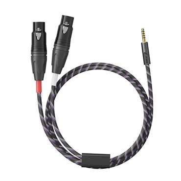 FiiO 【ご予約商品・9月30日発売予定】TRUST LX-4.4ML 20+50cm