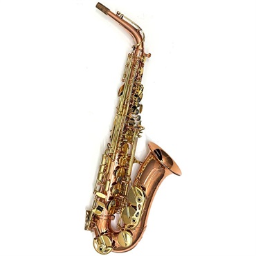 Selmer Paris USED 中古 アルトサックス セルマー SA-80II Jubilee GP
