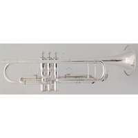 管楽器・吹奏楽器 342 管楽器・吹奏楽器 ユーズド 商品一覧｜イケベ楽器店オンラインストア