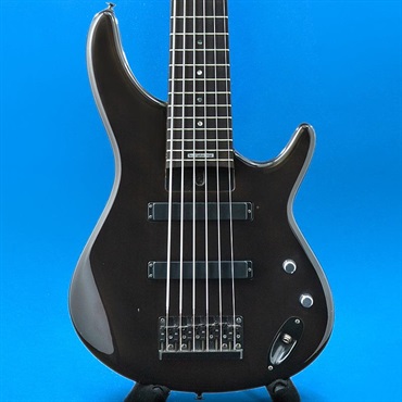 カスタム品 スライドギター特化 Aria アコースティックギター 本体 Aria ProII USED 中古 AVB-SSB-016 Custom Fretted Mod. ｜イケベ楽器