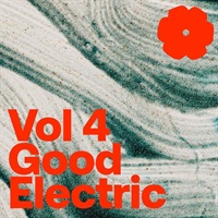 Good Electric (エレキギター)(サンプルパック)(ループ)(ワンショット)(オンライン納品)(2時間以内に納品)