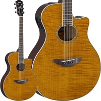 【先取り大特価セール】【チョイキズ特価】APX600FM AMBER