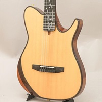 TOD100N-NT アイバニーズ
