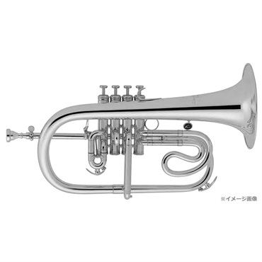 Antoine Courtois アントワンヌ・クルトワ / PROFESSIONAL AC156R-1-0