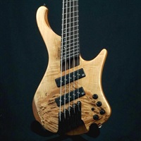 アイバニーズ EHB 　新品未使用‼️最終価格 ベース Ibanez EHB (Ergonomic Headless Bass) 商品一覧｜イケベ楽器店