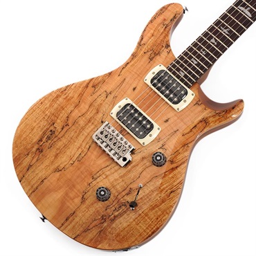 エレキギター P.R.S. PRS SE SERIES 商品一覧｜イケベ楽器店オンライン