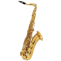 管楽器・吹奏楽器 サックス テナーサックス Selmer Paris 商品一覧
