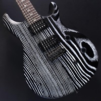 USED 中古 SE Swamp Ash CE 24 Sandblasted Limited Edition (Sandblasted White) #CTI G034222