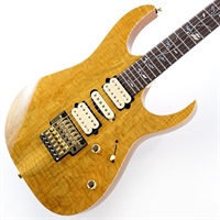 j.custom RG8570EM-NT (Natural) [Limited Model] SN.F2507660