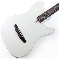 TOD10N-SMF (Silver Metallic Flat) [SPOT MODEL]