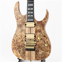 USED 中古 Premium RGT1220PB-ABS(Antique Brown Stained Flat)[SN.I241111338]アイバニーズ