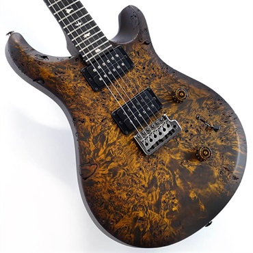 S2 Custom 24  Poplar Burl Limited Edition (Black Gold Burst) SN.S2089082 【2026年生産品】