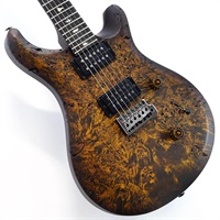 S2 Custom 24  Poplar Burl Limited Edition (Black Gold Burst) SN.S2089082 【2026年生産品】