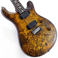 S2 Custom 24-08  Poplar Burl Limited Edition (Black Gold Burst) SN.S2088748 【2026年生産品】