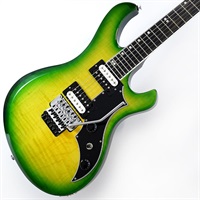 Victory Floyd Rose (Iguana Burst)  SN.212160296