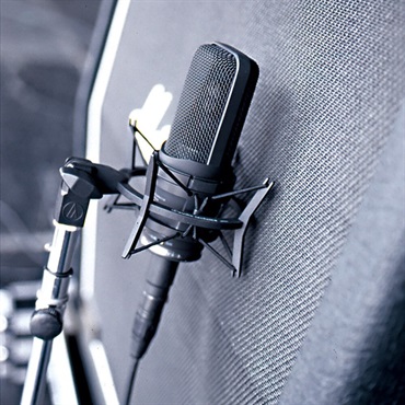 audio-technica AT4050(マルチパターン・コンデンサー・サイドアドレスマイクロホン)(無指向性、単一指向性、双指向性)(オーディオテクニカ) 画像5