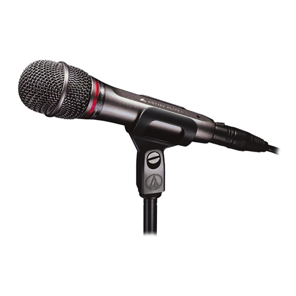 audio-technica AE6100 |イケベ楽器店
