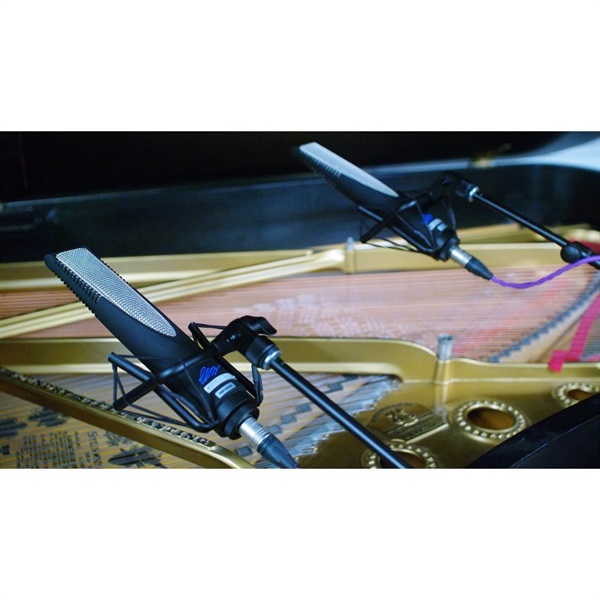 sE Electronics RNR1 RupertNeveデザイン・リボンマイク 【お取り寄せ商品】 画像9