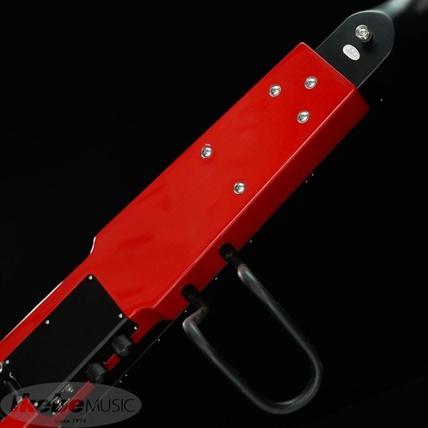 Hallstatt WBSE-850 IKEBE ORIGINAL COLOR (TRD) [アップライトベース] 画像3