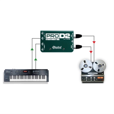 Radial PRO D2 画像5