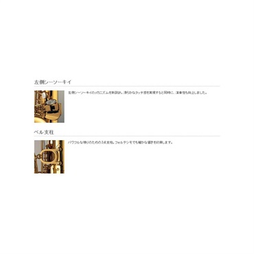 YAMAHA 【お取り寄せ品】テナーサックス ヤマハ YTS-875 【調整&セットアップ後出荷】【5年間キーバランス調整無料】【演奏＆お手入れに必要なもの全て付いてます】 画像2