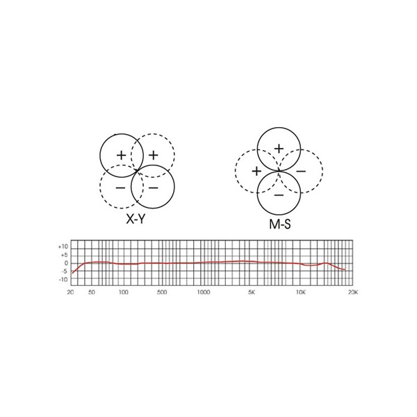 RoyerLabs SF-12 画像1