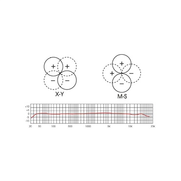 RoyerLabs SF-24 画像1