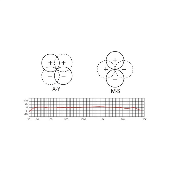 RoyerLabs SF-24 画像1
